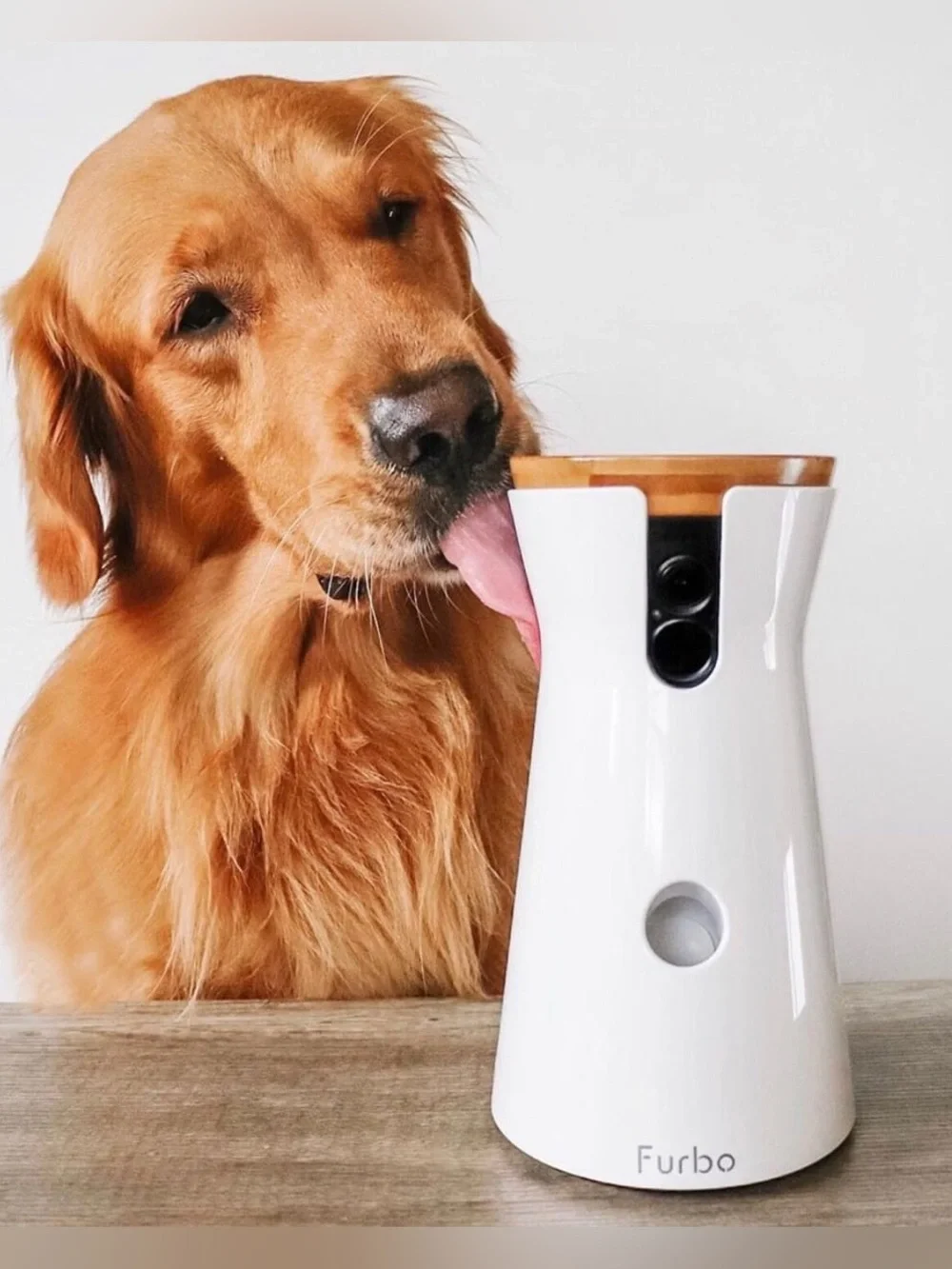 Furbo 2 Dog Camera & Treat Dispenser